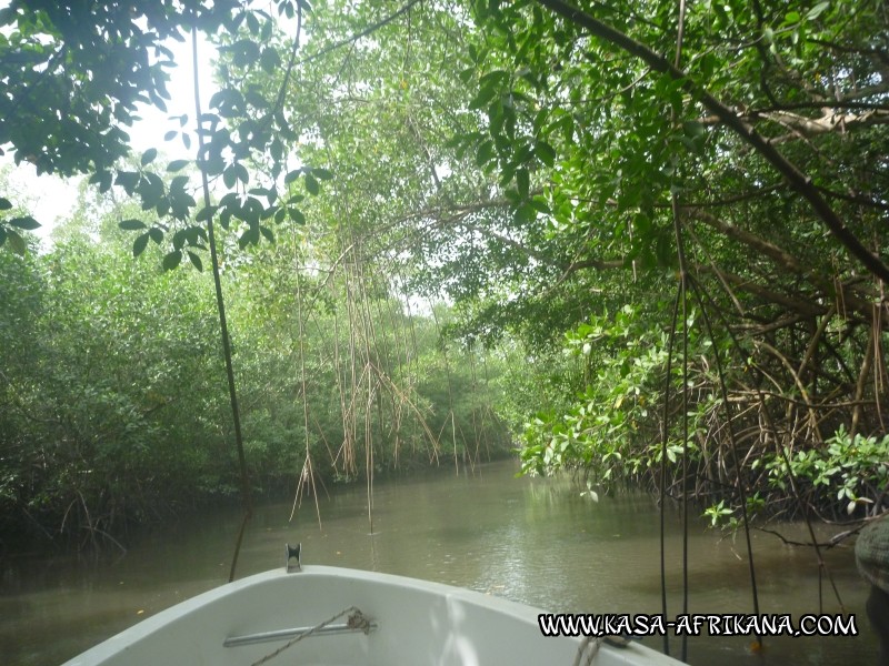 Photos de l'archipel Bijagos Guinée Bissau : Paysages - Mangrove