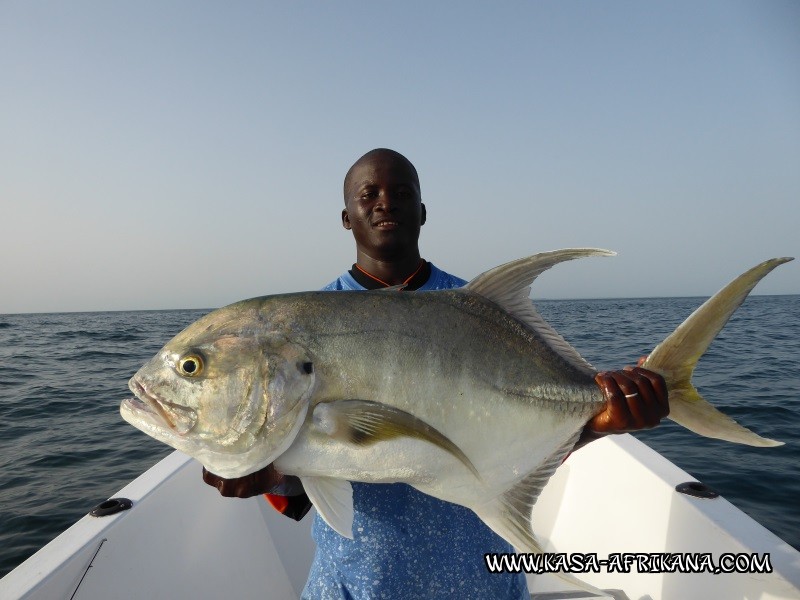 Photos de l'archipel Bijagos Guine Bissau : Spcial Carangues - Daoudo