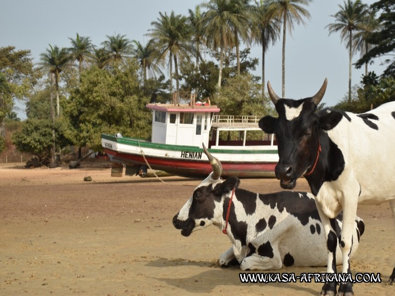 Photos de l'archipel Bijagos Guine Bissau : Pittoresque - Contemplatives