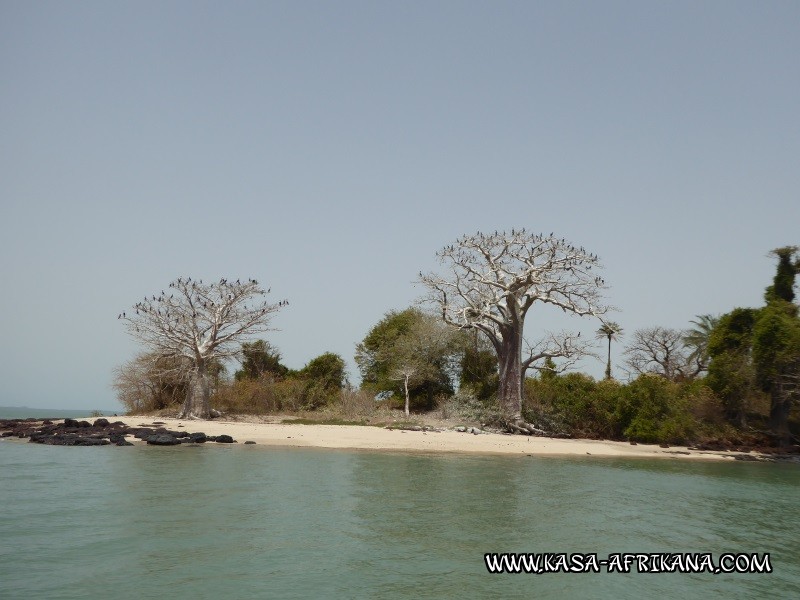 Photos de l'archipel Bijagos Guine Bissau : Paysages - Baobas  cormorans