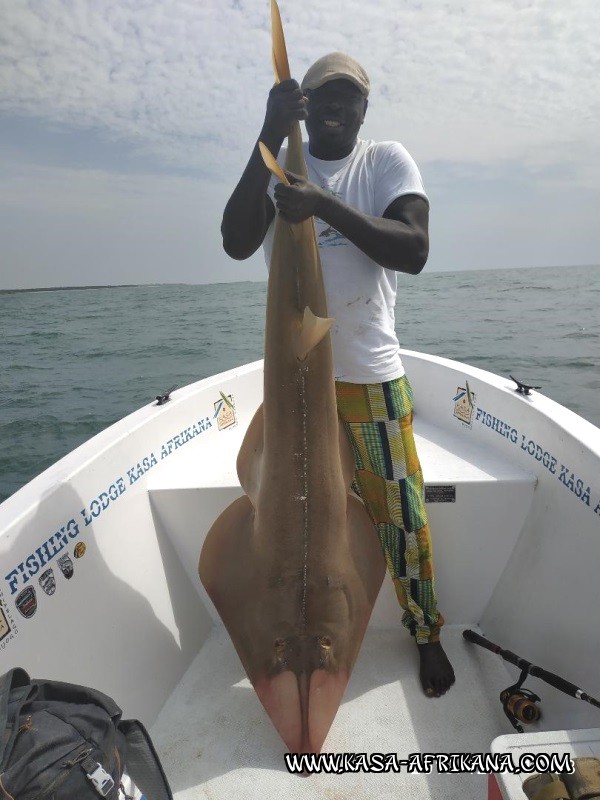Photos de l'archipel Bijagos Guine Bissau : Nos plus belles prises - Rolling Djibrine