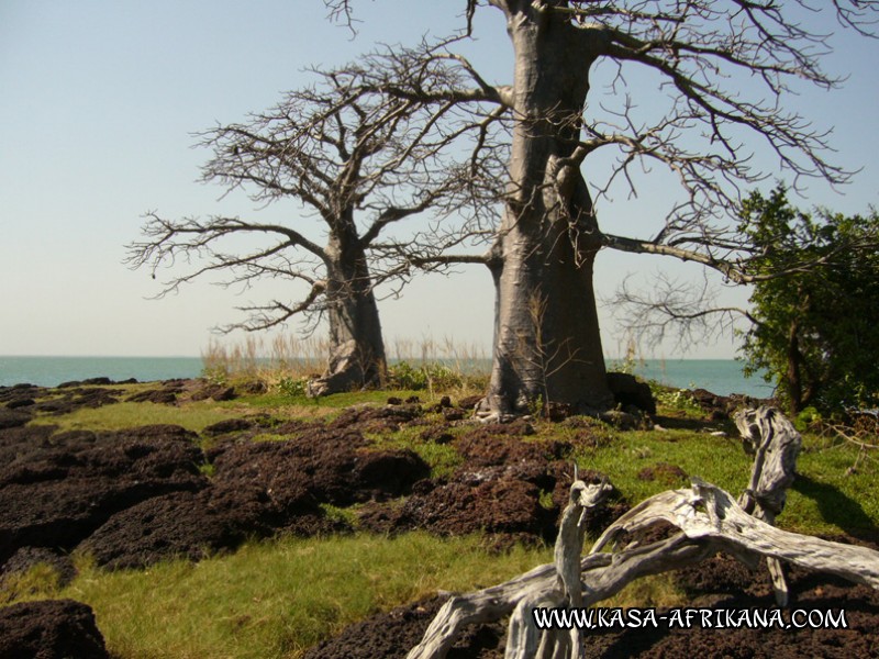 Photos de l'archipel Bijagos Guine Bissau : Paysages - Nos paysages