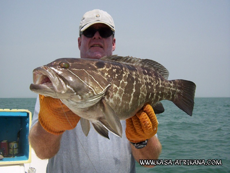 Photos Bijagos Island, Guinea Bissau : Our best catches - White grouper