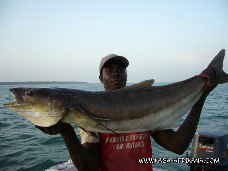 Photos de l'archipel Bijagos Guine Bissau : Nos plus belles prises - Cobia
