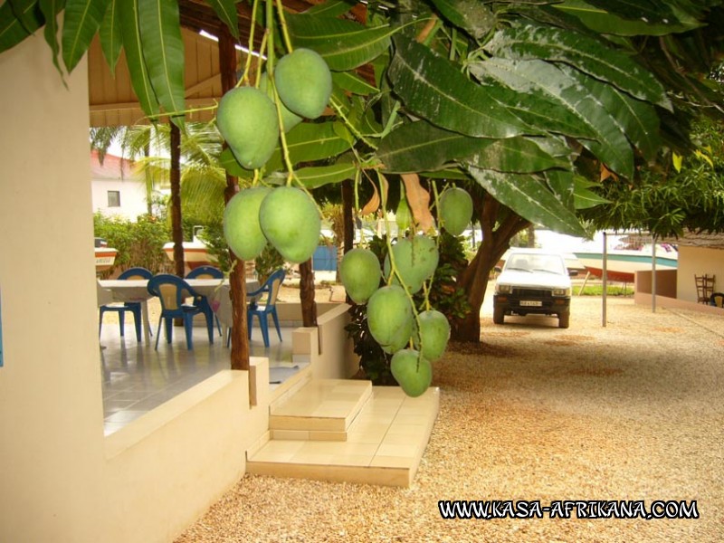Photos de l'archipel Bijagos Guine Bissau : Jardin de l'hotel - Mangues
