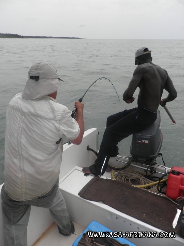 Photos de l'archipel Bijagos Guine Bissau : En action - oh! arrte toi !