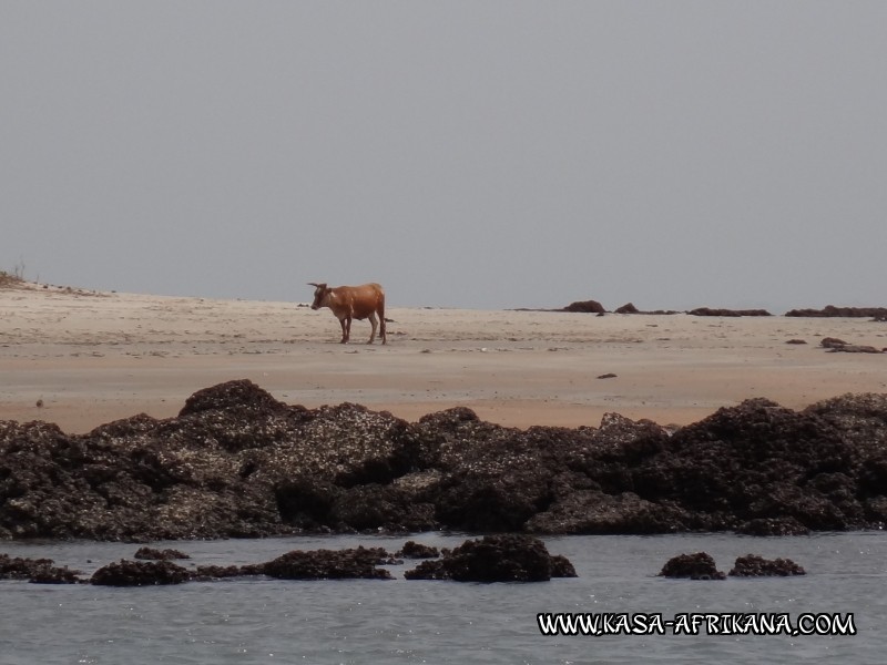 Photos de l'archipel Bijagos Guine Bissau : Pittoresque - plagiste