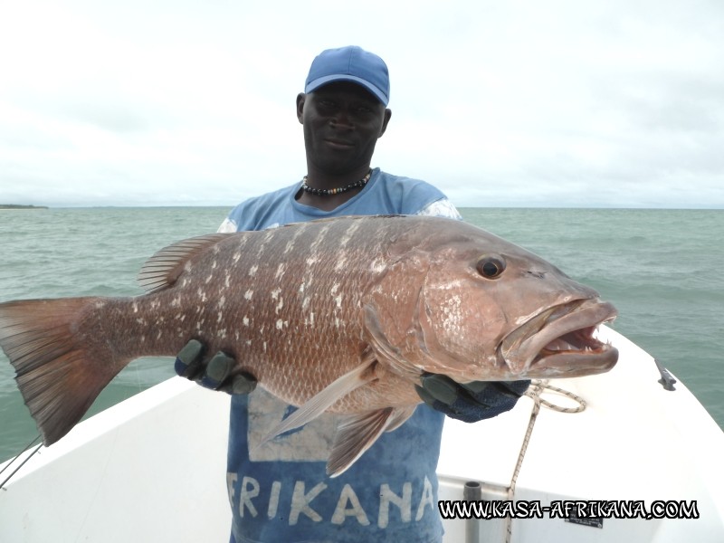 Photos de l'archipel Bijagos Guine Bissau : Nos plus belles prises - la patience paie