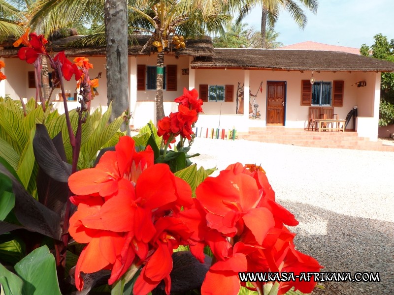 Photos Bijagos Island, Guinea Bissau : The hotel garden - 