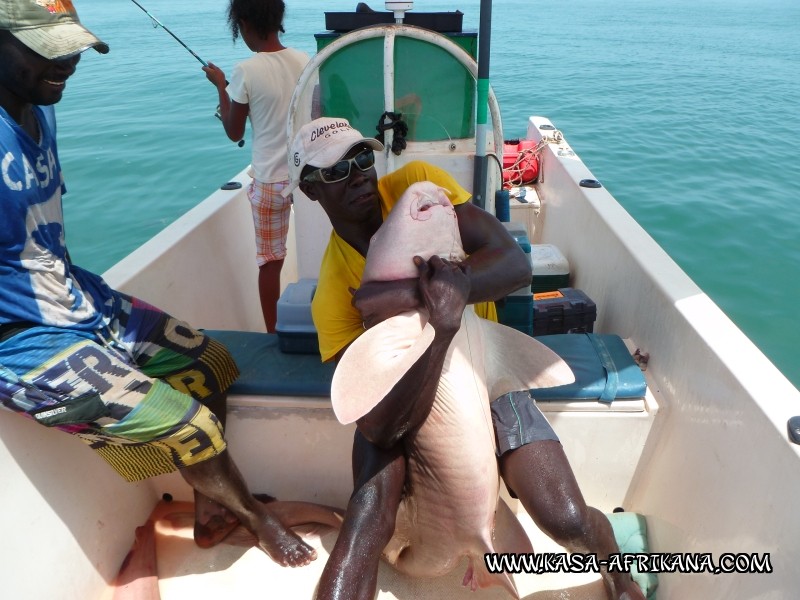 Photos de l'archipel Bijagos Guine Bissau : Pittoresque - Combat ultime