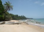 Photos de l'archipel des Bijagos en Guine Bissau : Paysages des les