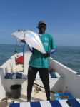 Photos de l'archipel des Bijagos en Guine Bissau : Pompano de Denis