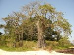 Photos de l'archipel des Bijagos en Guine Bissau : Nos paysages