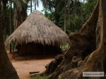Photos de l'archipel des Bijagos en Guine Bissau : Andrew Scourse