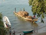 Photos de l'archipel des Bijagos en Guine Bissau : Chaume pour les toitures