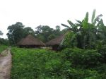 Photos de l'archipel des Bijagos en Guine Bissau : Paysages des Bijagos
