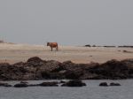 Photos de l'archipel des Bijagos en Guine Bissau : plagiste