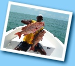 Special sport fishing stay in the Bijagos, Guinea Bissau. Hosting in hotel on bubaque island