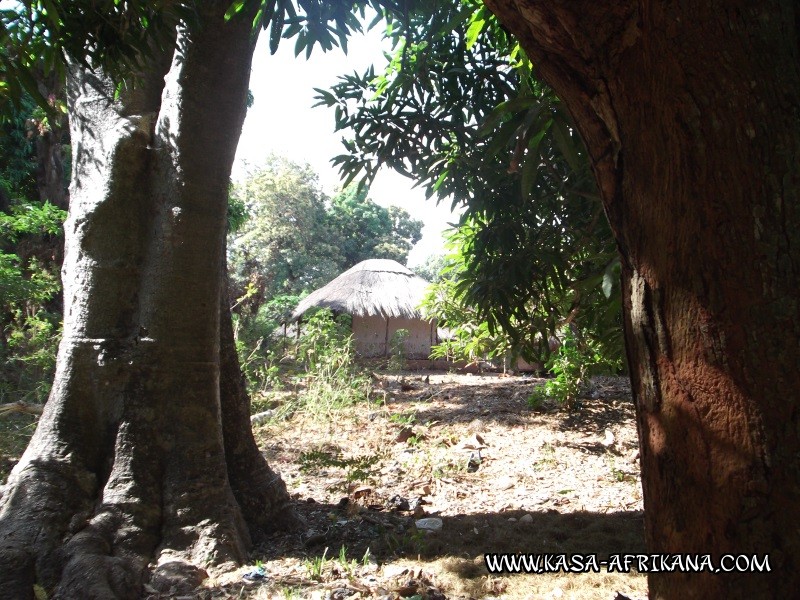 Photos de l'archipel Bijagos Guinée Bissau : Peuple Bijagos - Vie tranquille