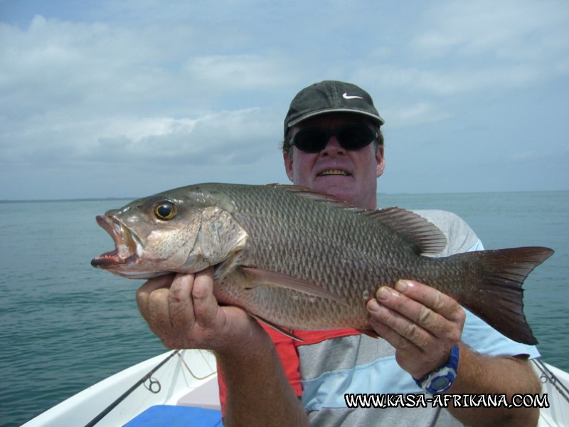 Photos Bijagos Island, Guinea Bissau : Fishes in the archipelago - Reef african red snapper