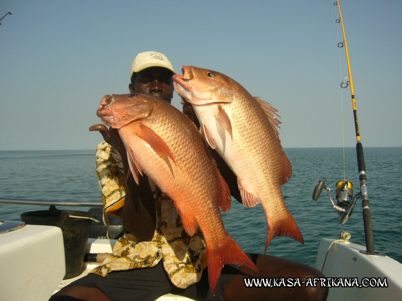 Photos Bijagos Island, Guinea Bissau : Our best catches - Double african red snapper