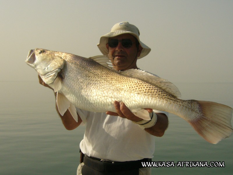 Photos Bijagos Island, Guinea Bissau : Our best catches - Umbrine