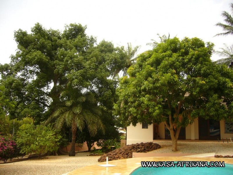 Photos de l'archipel Bijagos Guinée Bissau : Jardin de l'hotel - Fromager et manguier