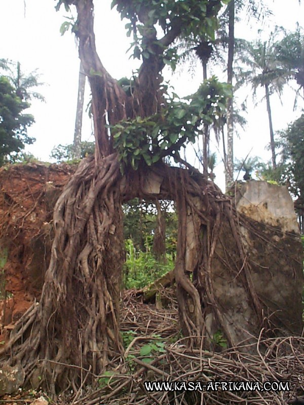 Photos de l'archipel Bijagos Guinée Bissau : Jardin de l'hotel - Sculpture vivante