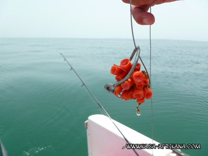 Photos de l'archipel Bijagos Guinée Bissau : Pittoresque - Pêche surprenante