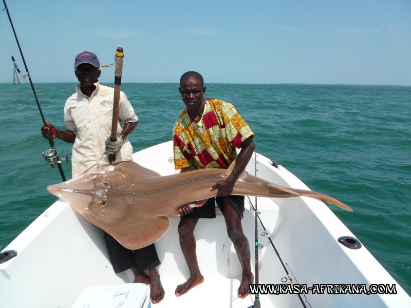 Photos de l'archipel Bijagos Guinée Bissau : Nos plus belles prises - Stratocaster