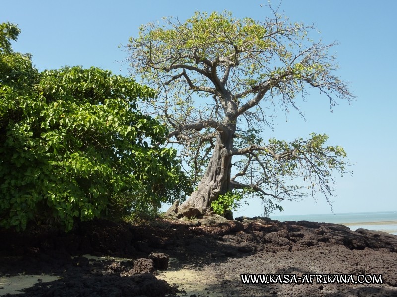 Photos de l'archipel Bijagos Guinée Bissau : Paysages - Paysages des îles 