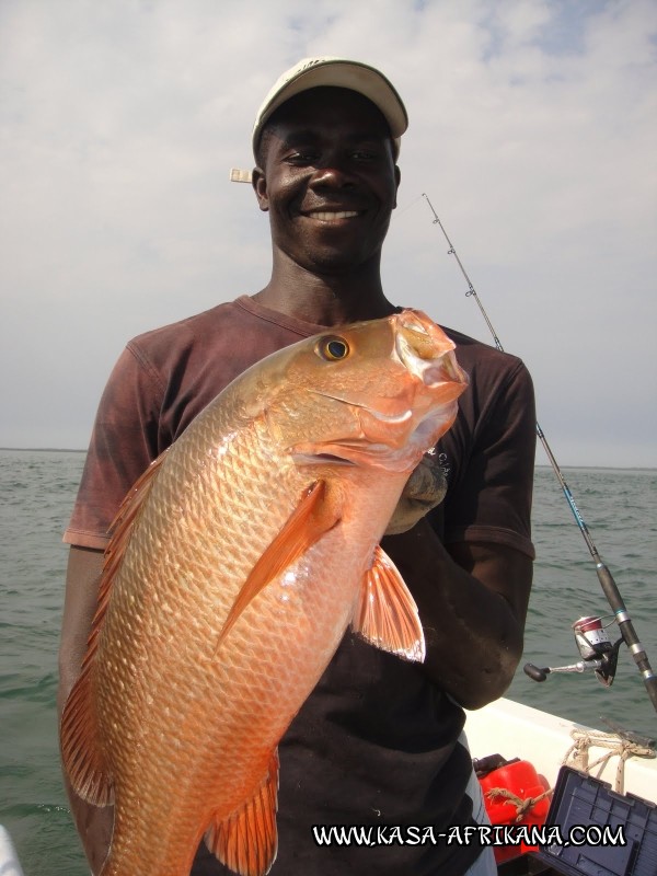 Photos de l'archipel Bijagos Guinée Bissau : Nos plus belles prises - Poisson bonheur