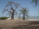 Photos of Bijagos Islands in Guinea Bissau : 