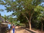 Photos de l'archipel des Bijagos en Guinée Bissau : Vie locale