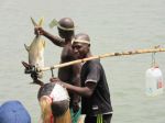 Photos de l'archipel des Bijagos en Guinée Bissau : Jeunes en cérémonie
