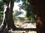 Photos de l'archipel des Bijagos en Guinée Bissau : Vie tranquille