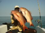 Photos of Bijagos Islands in Guinea Bissau : Double african red snapper