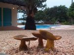 Photos of Bijagos Islands in Guinea Bissau : Tropical mushrooms