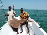 Photos de l'archipel des Bijagos en Guinée Bissau : Stratocaster